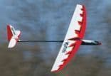 Gliders/Electric Gliders